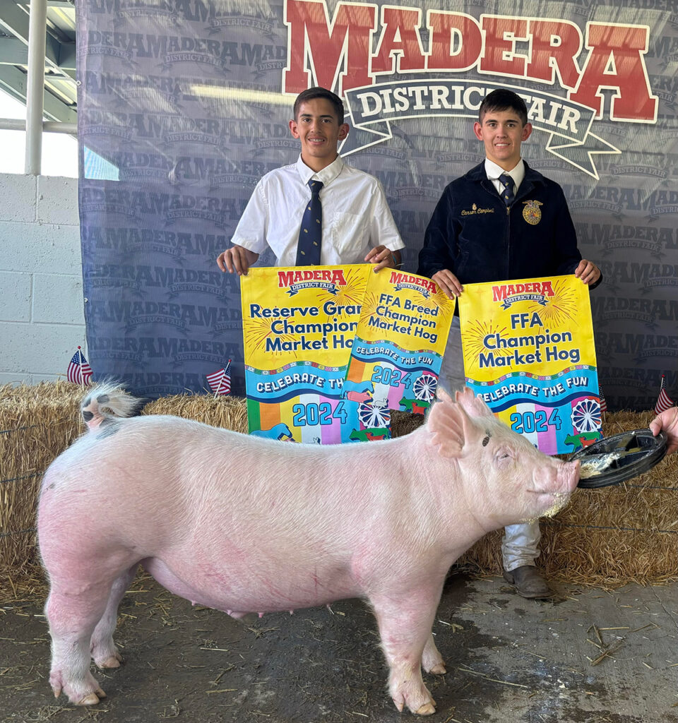 FFA Champion Market Hog & Reserve Grand Champion