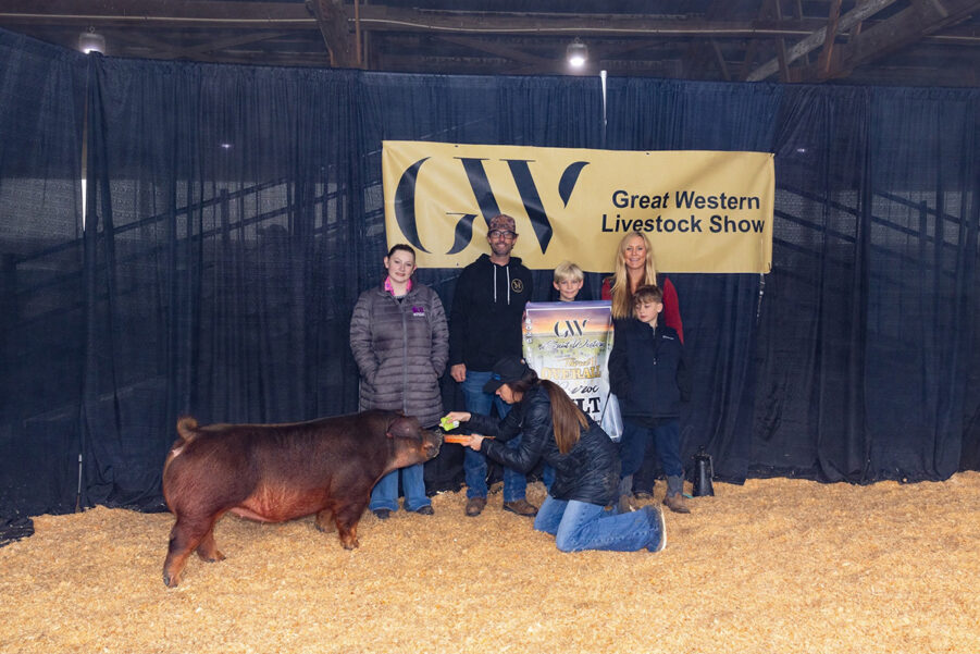 3rd Overall Duroc Gilt