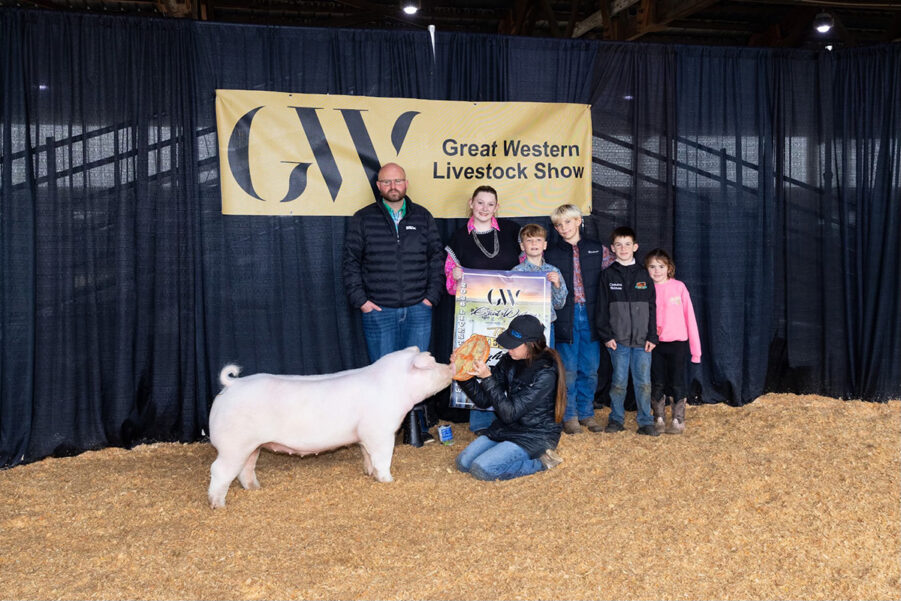 3rd Overall Light AOB