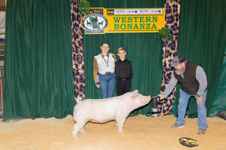 3rd Overall Light AOB | Ring B