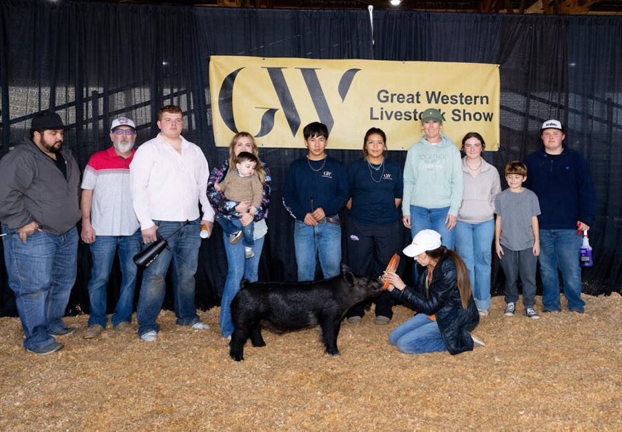 3rd Overall Division 1